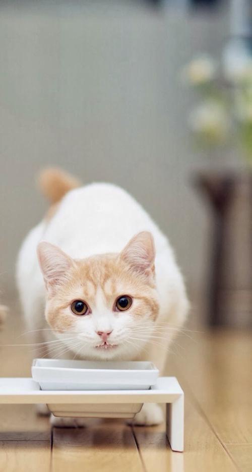 ƶ|ɽ׵طƶǨƶ˿ȫȶƶ